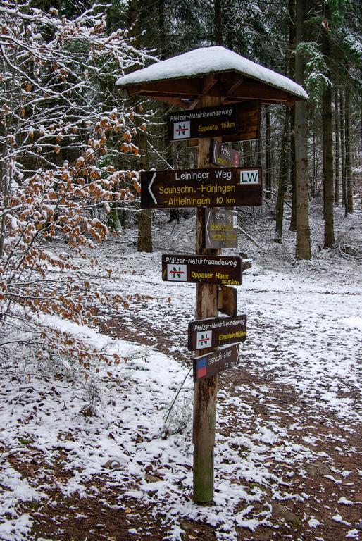 Carlsberg Naturfreundehaus Rahnenhof מראה חיצוני תמונה